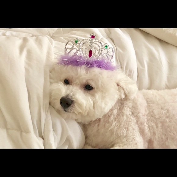 ????Meet Seller??I ? fashionable clothes????? - Picture 3 of 4